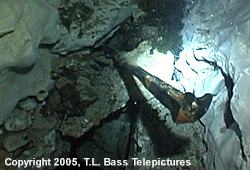 railroad tool embedded in rock in Blue Spring