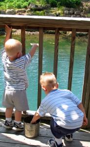 kids feeding the trout